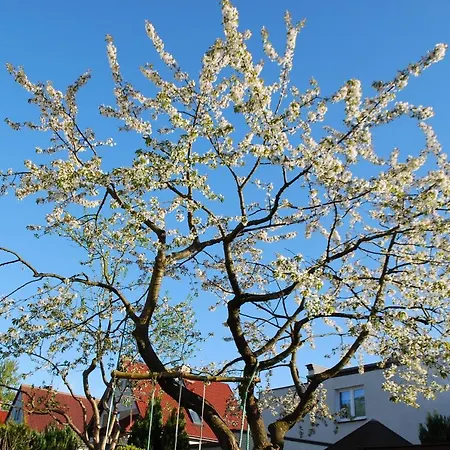 Hydrozagadka 科沃布热格