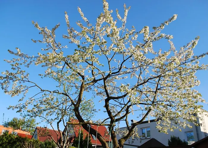 Hydrozagadka 科沃布热格